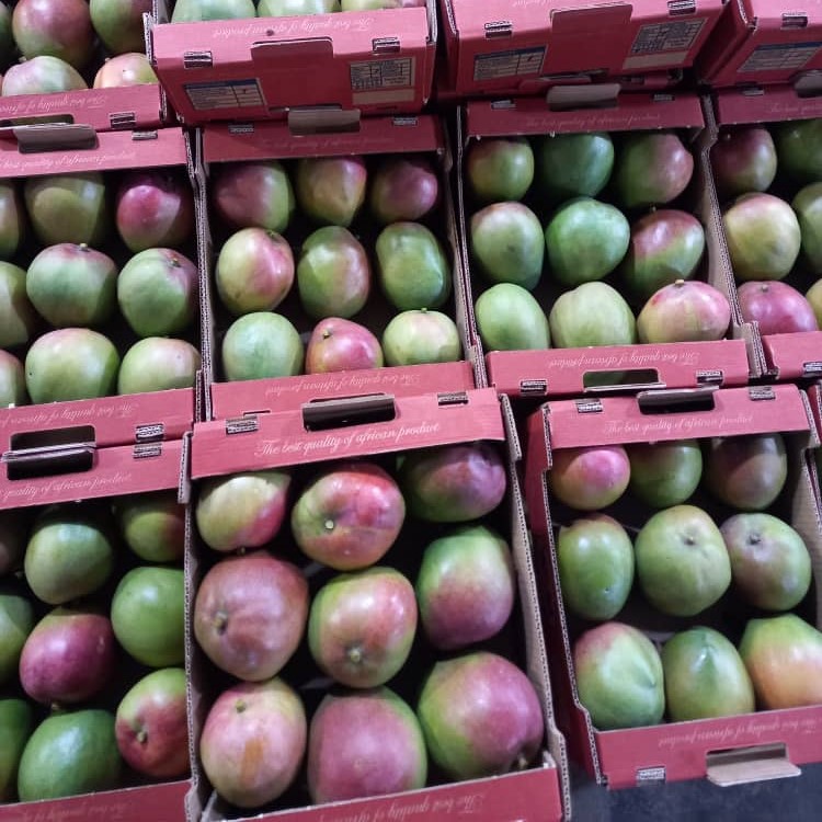 Mango picture