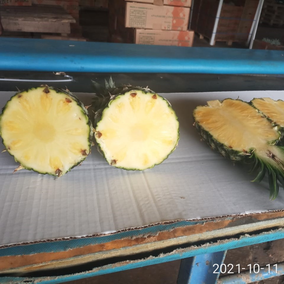 Pineapple picture
