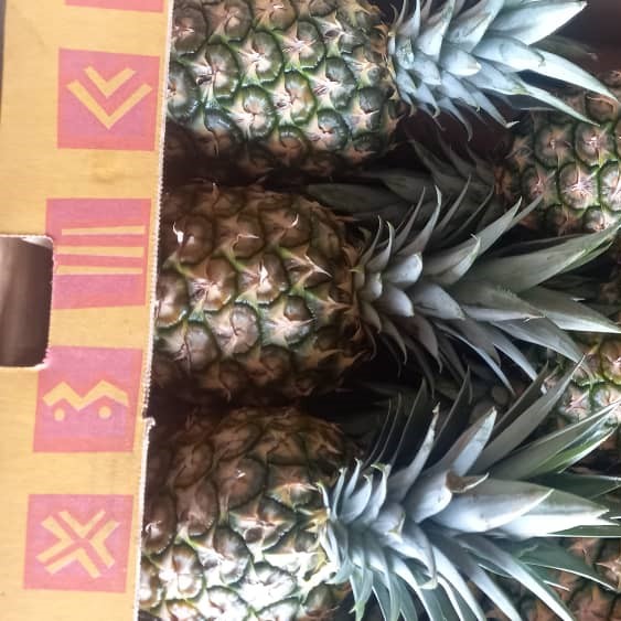 Pineapple picture