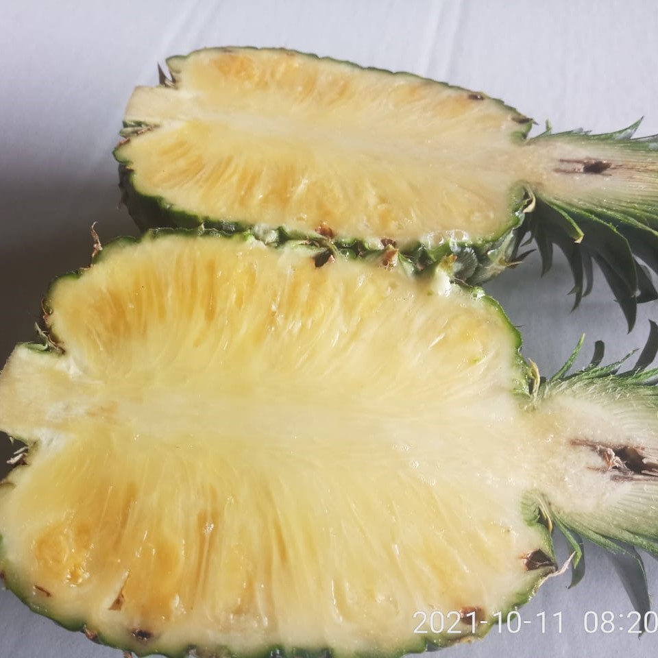 Pineapple picture