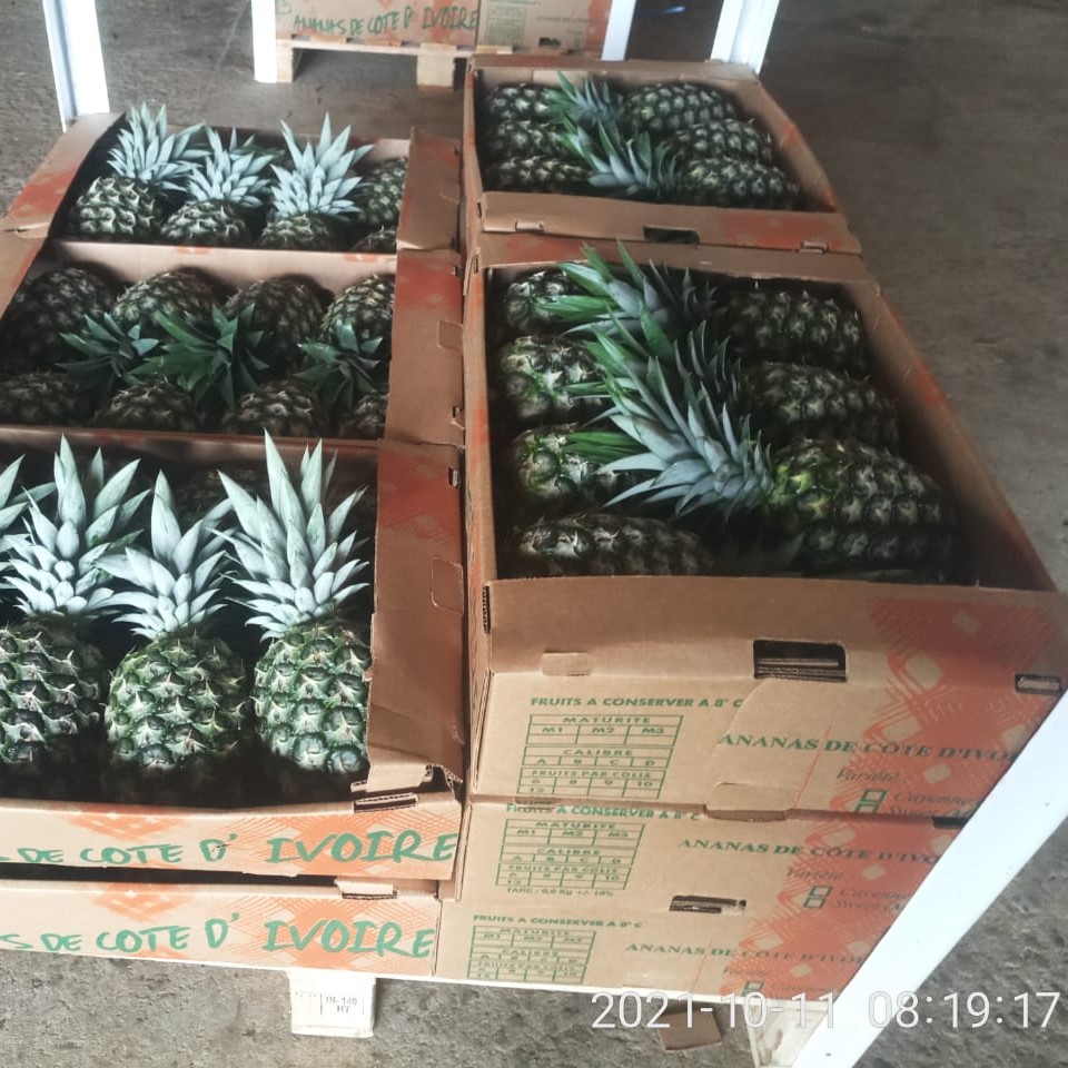 Pineapple picture