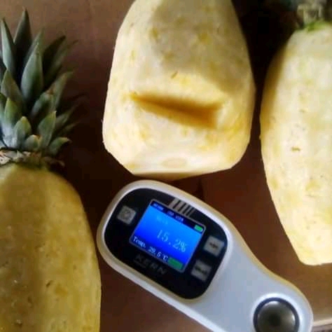 Pineapple picture